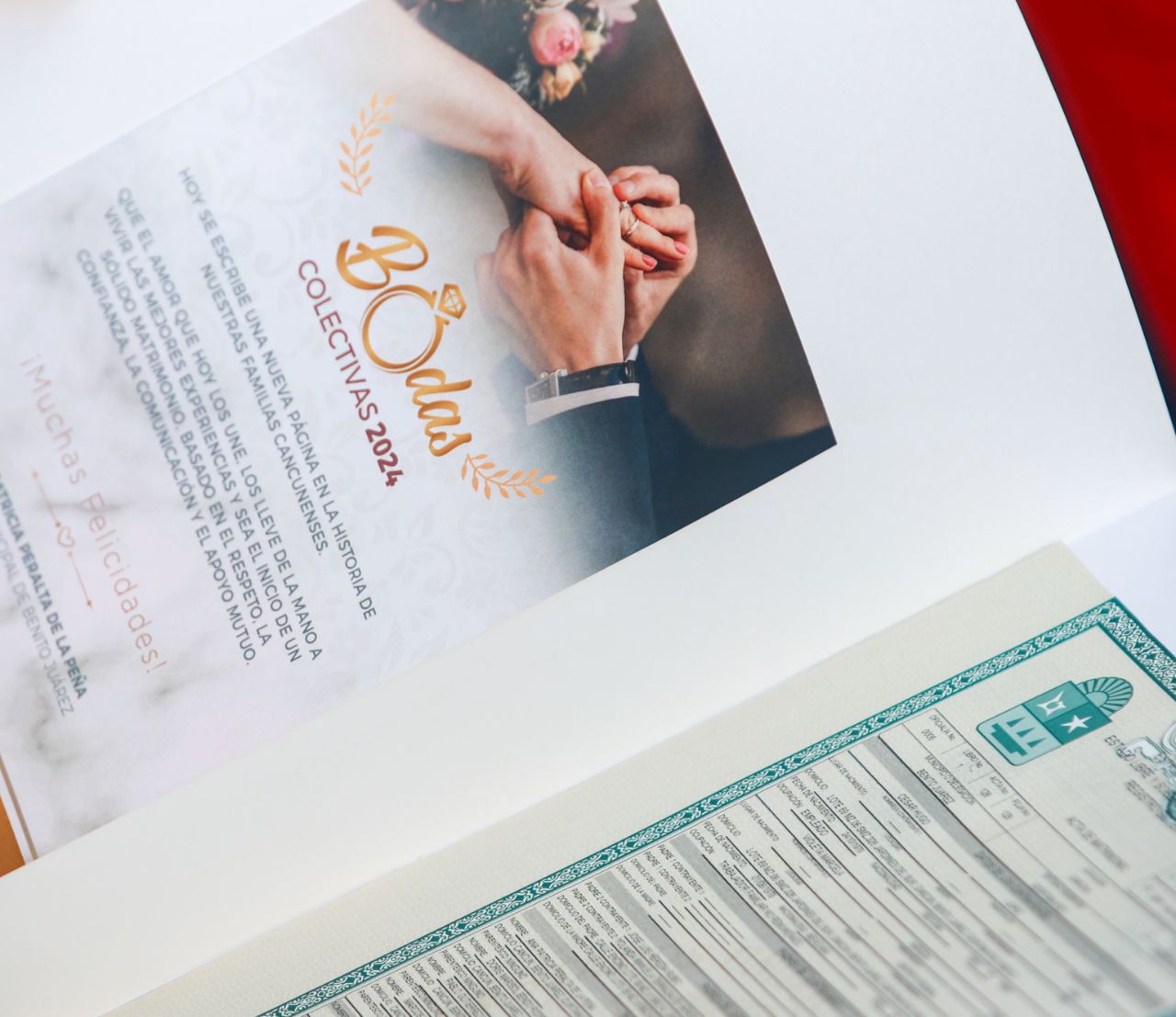 uploads/6/32/01 (2733).Jpeg